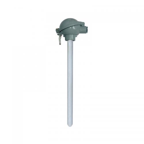 天仪（TIANYI）防腐 石油化工热电阻 测量长度：500mm