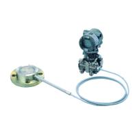 天仪（TIANYI）TK438N隔膜密封式压变送器