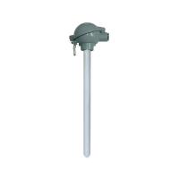 天仪（TIANYI）防腐 石油化工热电阻 测量长度：500mm