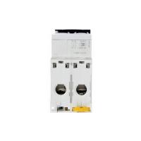 施耐德电气 小型断路器 iC65N 2P C63A