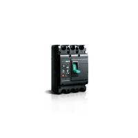 天正电气 TGM1N-125L/3340断路器；24V/220V/380V