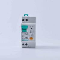天正电气 1P+N双进双出 DPN漏电断路器；TGB1NLE-40 6A~40A