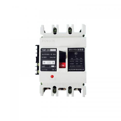 天正电气 TGM1-250L/3310断路器；160A~250A