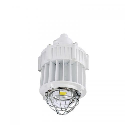 光宇 GYB01-33/220AC  33W LED灯 白色  单位：盏  企业定制