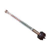 天光 液位计 B69-1.6-CF配套使用 TG-WJD-CF