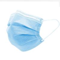 海氏海诺 一次性使用耳挂式平面形口罩 17.5*9.5cm（ 200个起售）  10个/包    单位：个