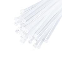 干诚 尼龙扎带 3*100 宽2.5mm 100根/包 白色 单位：包