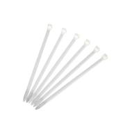 干诚 尼龙扎带 3*100 宽2.5mm 100根/包 白色 单位：包