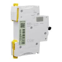 施耐德 小型断路器 iC65H 1P C2A 单位：个