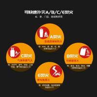 虎鲸安 手提式不锈钢干粉灭火器4kg MFZ/ABC4-II 单位：个