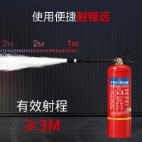 虎鲸安 手提式干粉灭火器 4kg 单位：只