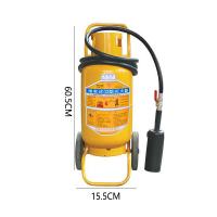 虎鲸安 D类干粉手提式灭火器 MFZ/D30 单位：具