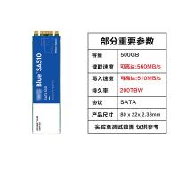 SONM 固态硬盘 WD-BLUE-500G蓝盘 SA510 M.2 单位：个