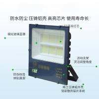 干诚 LED投光灯 YM-7070-200W 白光 单位：个