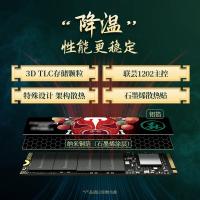 SONM 固态硬盘M.2接口 S500-PRO-1T 单位：个
