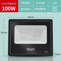 德力西 LED户外投光灯 100W 6500K 白光 单位：台