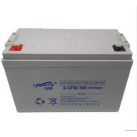 力锐斯 蓄电池含安装调试 6-GFM-100 12V 100AH 单位:个