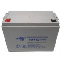 力锐斯 蓄电池含安装调试 6-GFM-100 12V 100AH 单位:个