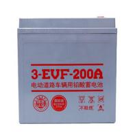 力锐斯 电瓶车备件/蓄电池 3-EVF-200A 订须为8的倍数 单位:件