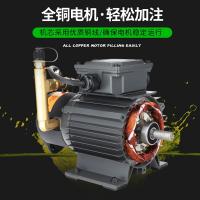 维朋 中央空调电动加油泵 R6 单位：个