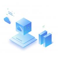 NORTHWICK 网络防病毒软件 v-Secure 单位:套