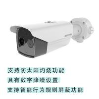 海康威视 热成像摄像机筒型 DS-2TD262YZ-YZ 含电源适配器+防雷接地 单位：台