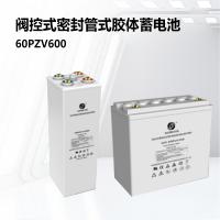 圣阳电源SACRED SUN 阀控式密封管式胶体蓄电池 6 OPZV 600 单位：只