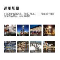 畅合电气 微型防爆头灯 海洋王 IW5133 3W 单位:个
