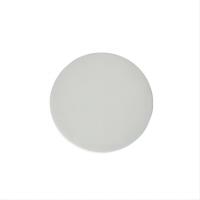 ICP 被动摩擦片 ICP-G80-HB-120 PETP-TX 直径/厚=Φ120*20mm 单位:个