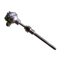 衡测 热电阻 ZTF21-ZA2PZPZ2 PT100 100 10 定制款 单位：个
