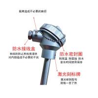 衡测 热电阻 ZTF21-ZA2PZPZ2 PT100 100 10 定制款 单位：个