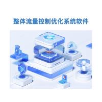 瑞研菲 整体流量控制优化系统软件 B-0 单位：套