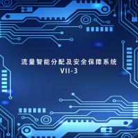 瑞研菲 流量智能分配及安全保障系统 VII-3 单位：套