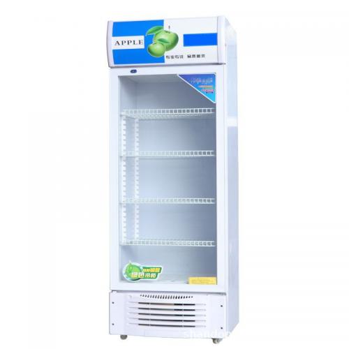 科濠领世 LG-218 食品专用单门留样冰箱540*560*1840mm