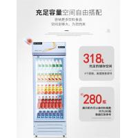 科濠领世 LG-218 食品专用单门留样冰箱540*560*1840mm