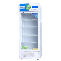 科濠领世 LG-218 食品专用单门留样冰箱540*560*1840mm