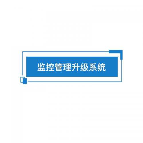 瑞研菲 监控管理升级系统 DW5881 单位：套