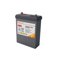 RUZET 充电电池 2TPG100H-2V-100AH 单位：台
