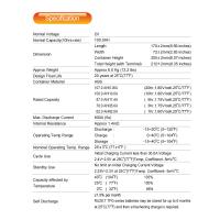 RUZET 充电电池 2TPG100H-2V-100AH 单位：台