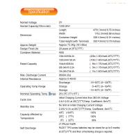 RUZET 充电电池 2TPG1200H-2V-1200AH 单位：台