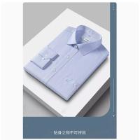 安亦健 成衣免烫衬衫工作服 XL 单位:件