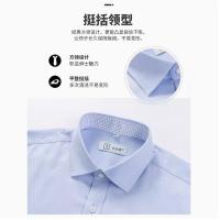 安亦健 成衣免烫衬衫工作服 XL 单位:件