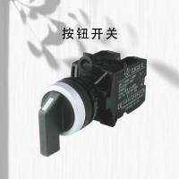 长江电器 按钮开关 CJK22-22CX2A 长柄 单位：个