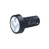 长江电器 信号灯 AD11-22/22-W2A AC/DC110V 正方形 单位：个