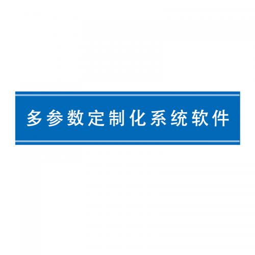 瑞研菲 多参数定制化系统软件 QS-2 单位：套