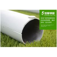 雷赢牌 五人制足球场90管钢制足球门300*200CM