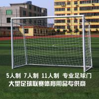 雷赢牌 五人制足球场90管钢制足球门300*200CM