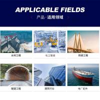 千鉴思 不锈钢突面（RF）板式平焊法兰 PN40 DN32