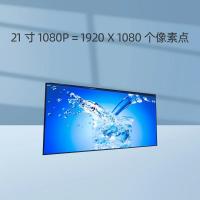 NORTHWICK 图像显示装置 TX885 单位：套